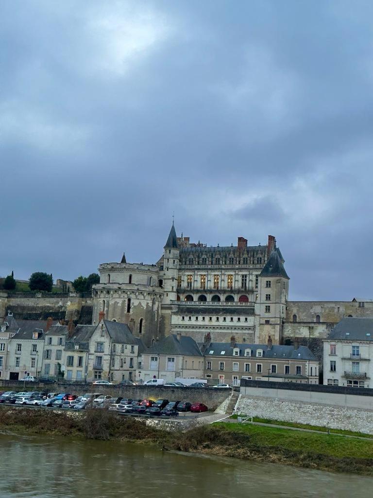 Face Au Chateau Du Clos Luce Bed & Breakfast Amboise